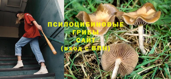твердый Алзамай