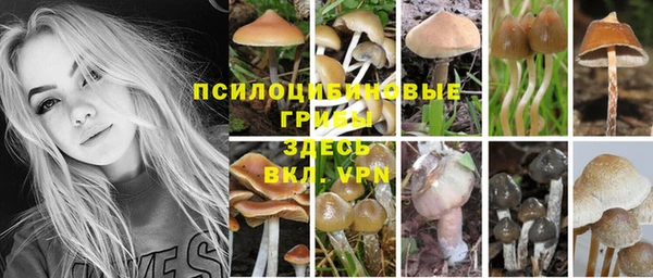 MDMA Алексин