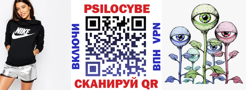 закладка Багратионовск Псилоцибиновые грибы мицелий