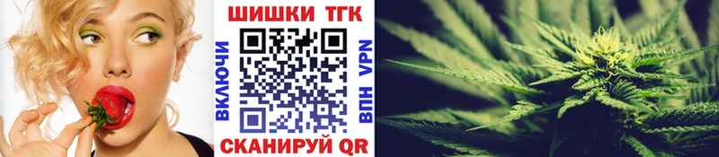 Канабис планчик  где купить   Багратионовск 
